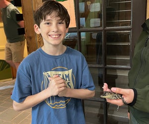 Free alligator education at Brazos Bend State Park. Photo by Sarah Banks.