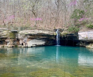 Dogwood Canyon Nature Preserve is one of the most popular Ozark tourist attractions. 