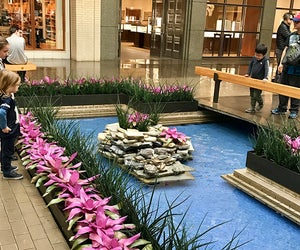 Enjoy the courtyard with ducks and turtles at Northpark Center. Photo by the author