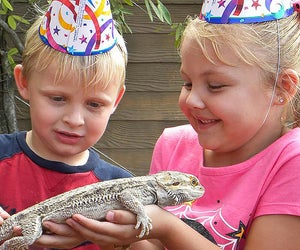 Celebrate your child's birthday party at Gatorland. Photo courtesy of Gatorland