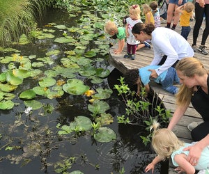 Go for a nature walk in on of Houston's huge parks. Photo by Anthony Rathbun, courtesy of the Houston Arboretum.