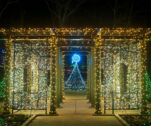 Things are getting merrier and brighter for kids in Boston this weekend! Night Lights: Dazzling Gardens at New England Botanic Garden by Troy B. Thompson Photography