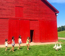 Photo by Dora Somosi via Instagram