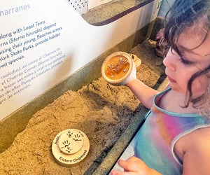 Jones Beach Energy and Nature Center's interactive exhibits are free. Photo by Gina Massaro