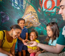 The National Museum of Natural History is free every day. Photo by Paul Fetters for the Smithsonian