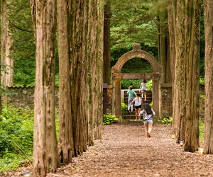 Roam the the cedar walk and gardens at Caramoor for a free, fun outing. Photo by Gabe Palacio