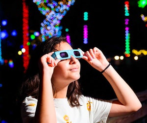 Delight in the dazzling colors of Zoo Lights this Christmas weekend. Photo courtesy of Zoo Miami 